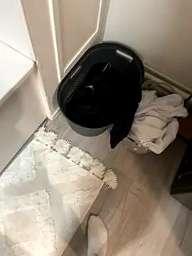 Snapshot of grosqueue3838 chatting on 12-02-25, 05:41 grosqueue3838 online show from 12-02-25, 05:41