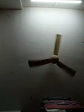 shilpa-singh online show from 03-05-26, 05:20