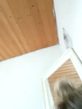 Snapshot of Milas_Dreams_OF chatting on 12-15-25, 08:40 Milas Dreams OF online show from 12-15-25, 08:40