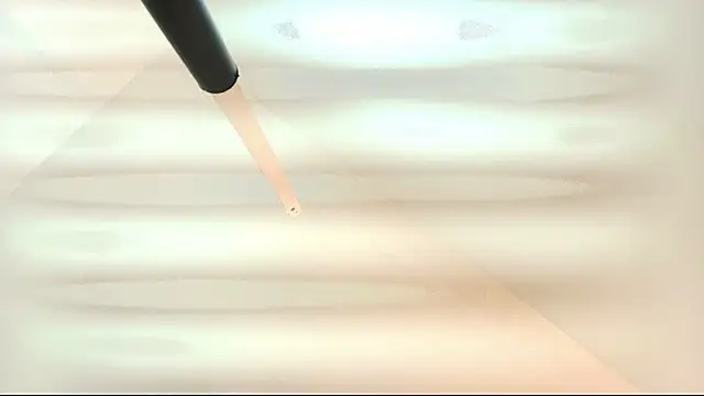 tamara walter online show from 03-05-26, 01:40