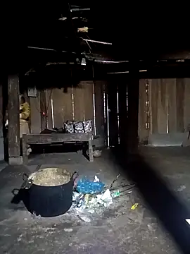 ava-dellght online show from 02-08-26, 02:15