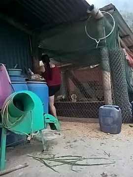 sary-hot2x online show from 04-15-26, 11:28