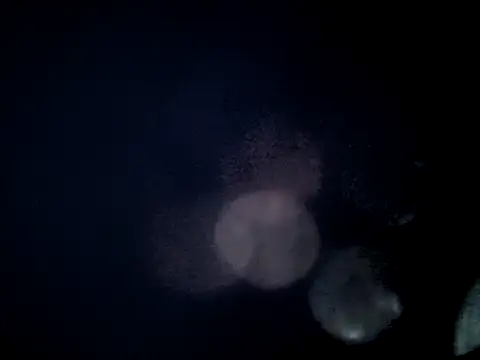 jefflatex45 online show from 05-05-26, 12:24