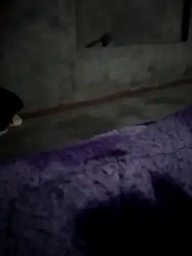 Kwiky7 online show from 12-16-25, 04:01