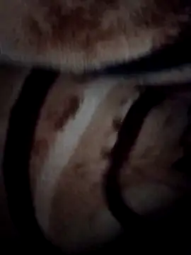 Snapshot of pihuu1313 chatting on 02-09-26, 03:21 pihuu1313 online show from 02-09-26, 03:21