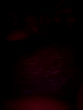 Snapshot of pihuu1313 chatting on 02-20-26, 07:58 pihuu1313 online show from 02-20-26, 07:58