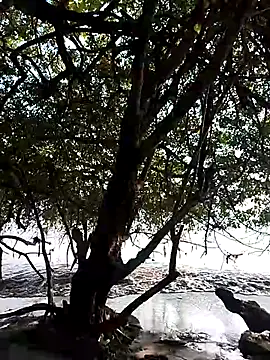 Snapshot of Andreskelly chatting on 02-13-26, 09:22 Andreskelly online show from 02-13-26, 09:22