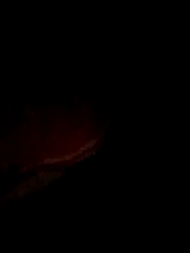 Snapshot of pritiqueen1001 chatting on 12-13-25, 08:58 pritiqueen1001 online show from 12-13-25, 08:58