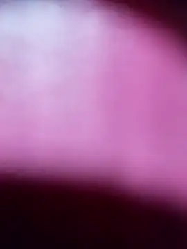 Snapshot of Myrelahot chatting on 03-21-26, 12:37 Myrelahot online show from 03-21-26, 12:37