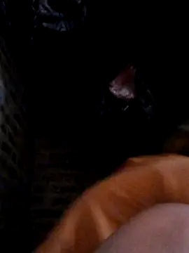 yana-zz online show from 03-28-26, 01:38