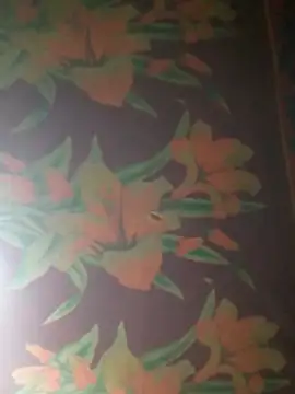 yana-zz online show from 04-12-26, 02:11