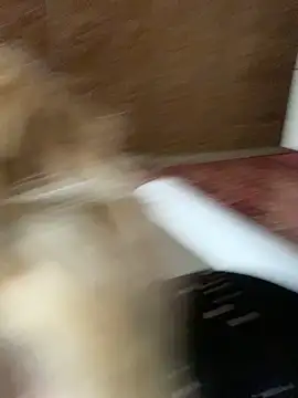 Snapshot of Barbika19 chatting on 03-09-26, 08:18 Barbika19 online show from 03-09-26, 08:18