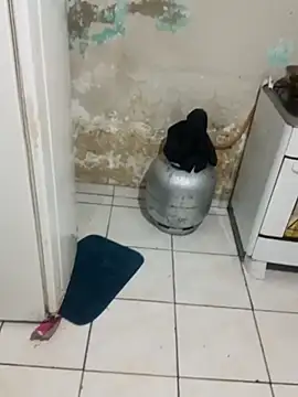 Snapshot of _-_charmosa chatting on 12-15-25, 01:21 - charmosa online show from 12-15-25, 01:21