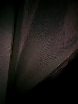 Snapshot of Rousse_uwu chatting on 02-19-26, 04:19 Rousse uwu online show from 02-19-26, 04:19