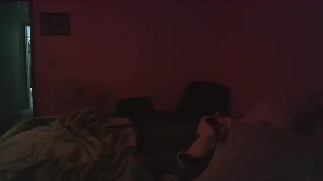 dixielover1229 online show from 12-16-25, 04:06