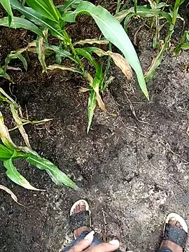 loki-king-143 online show from 02-24-26, 03:59