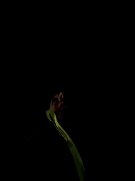 Snapshot of marcoboss chatting on 12-13-25, 10:26 marcoboss online show from 12-13-25, 10:26