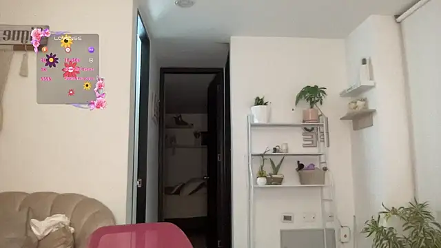 isa fox 23 online show from 03-04-26, 12:49