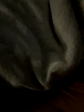 Snapshot of kb20sss chatting on 12-14-25, 12:27 kb20sss online show from 12-14-25, 12:27