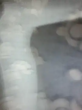 saxy bhabi 2002 online show from 01-19-26, 12:42