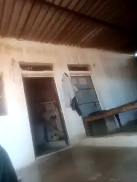 Pinki rajak online show from 03-06-26, 11:17