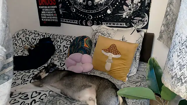 AlienforTwenty online show from 02-26-26, 08:57