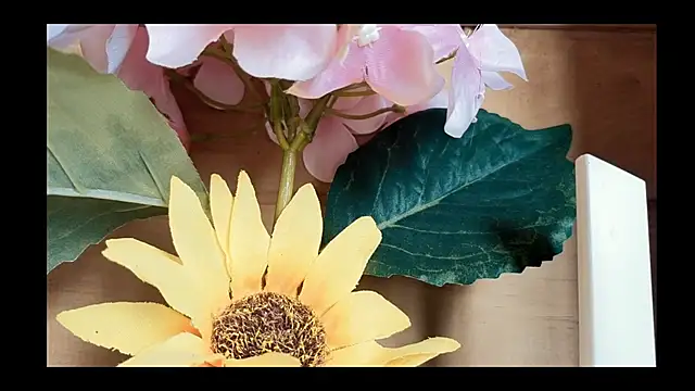 Snapshot of vickvalencia2 chatting on 05-04-26, 01:40 vickvalencia2 online show from 05-04-26, 01:40
