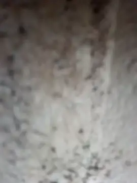 Shreya pandit online show from 04-25-26, 12:57