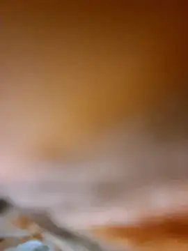 aman4404 online show from 01-08-26, 05:21