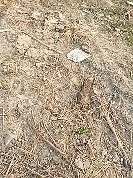 Snapshot of sexloverg7 chatting on 12-15-25, 10:41 sexloverg7 online show from 12-15-25, 10:41