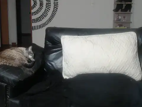 BeautyYoungblond online show from 03-14-26, 02:39