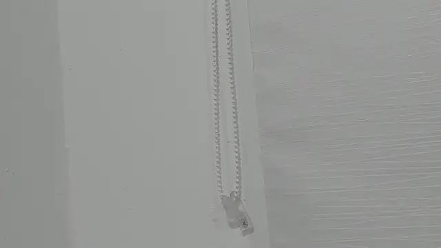 ariloe quintero online show from 04-24-26, 01:02