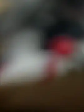 Sammyboii006 online show from 02-11-26, 06:29