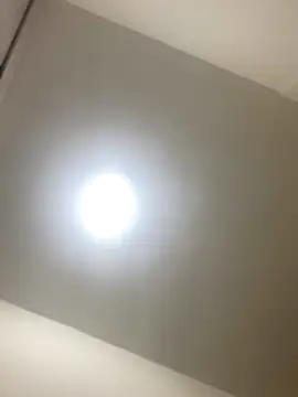 roger rabiit online show from 12-19-25, 01:12