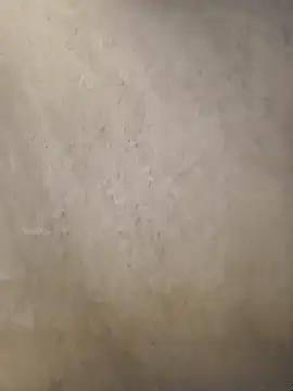 Telugumistress online show from 01-08-26, 12:07