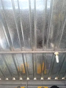 biggy mash online show from 12-17-25, 10:32