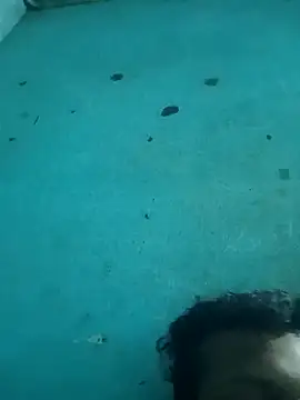 tamilansinsforu online show from 04-30-26, 02:56