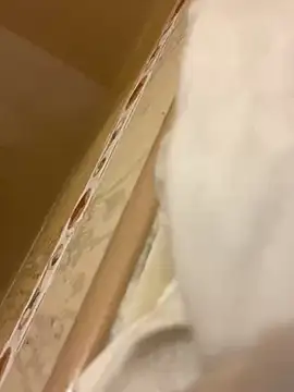 baby young online show from 03-06-26, 11:34