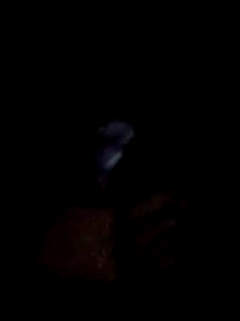 yourwellman online show from 03-05-26, 05:20