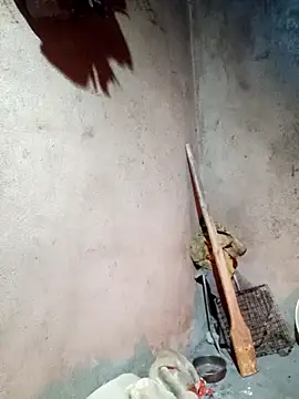 yula-bi online show from 02-24-26, 12:14