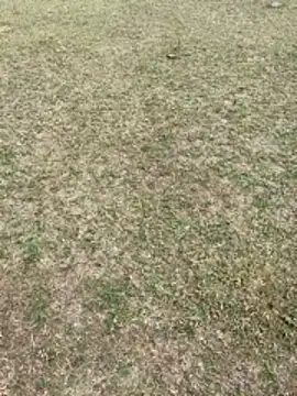 Tamilpaiyan07 online show from 02-01-26, 03:49