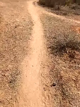 Tamilpaiyan07 online show from 02-08-26, 05:55