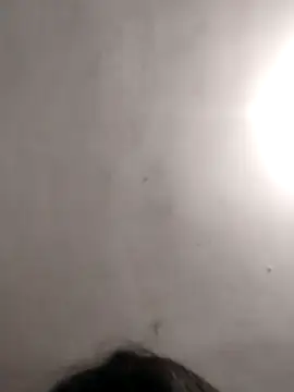 Snapshot of vanNe78 chatting on 01-14-26, 08:25 vanNe78 online show from 01-14-26, 08:25