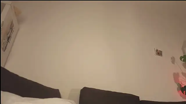 poli blink online show from 04-22-26, 12:13