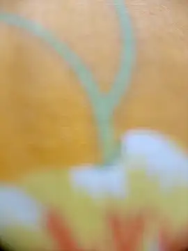 Hooghlypinkivabi online show from 02-20-26, 02:28