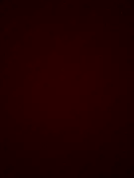 roludo-7688 online show from 12-23-25, 07:06