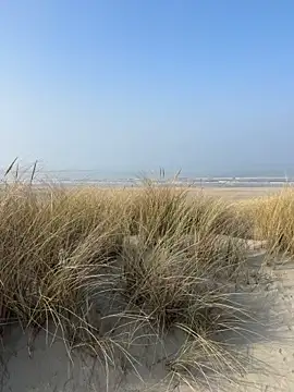 friemeldepiemel online show from 03-08-26, 12:42