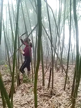 yeutinh00 online show from 03-11-26, 01:00