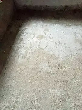 dakota-kis online show from 02-04-26, 11:53