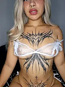 Snapshot of Ashnikko__ chatting on 01-13-26, 04:07 Ashnikko online show from 01-13-26, 04:07